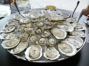 Oysters at Taylor.JPG